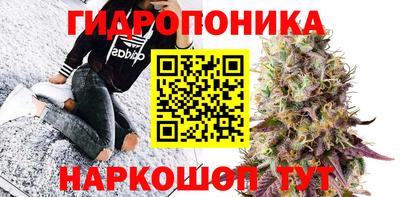 стаф Будённовск