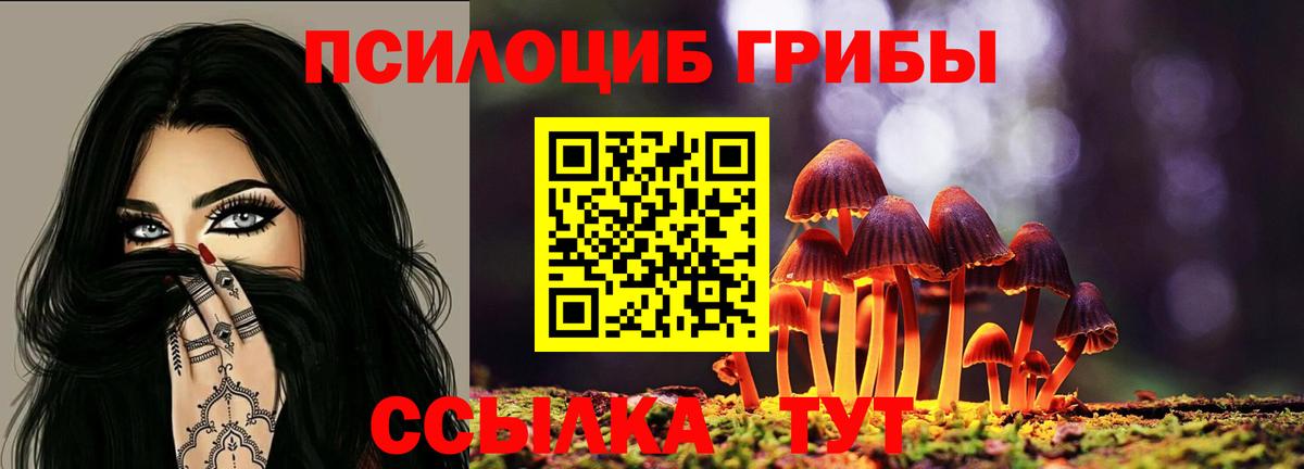 Галлюциногенные грибы Cubensis Фролово